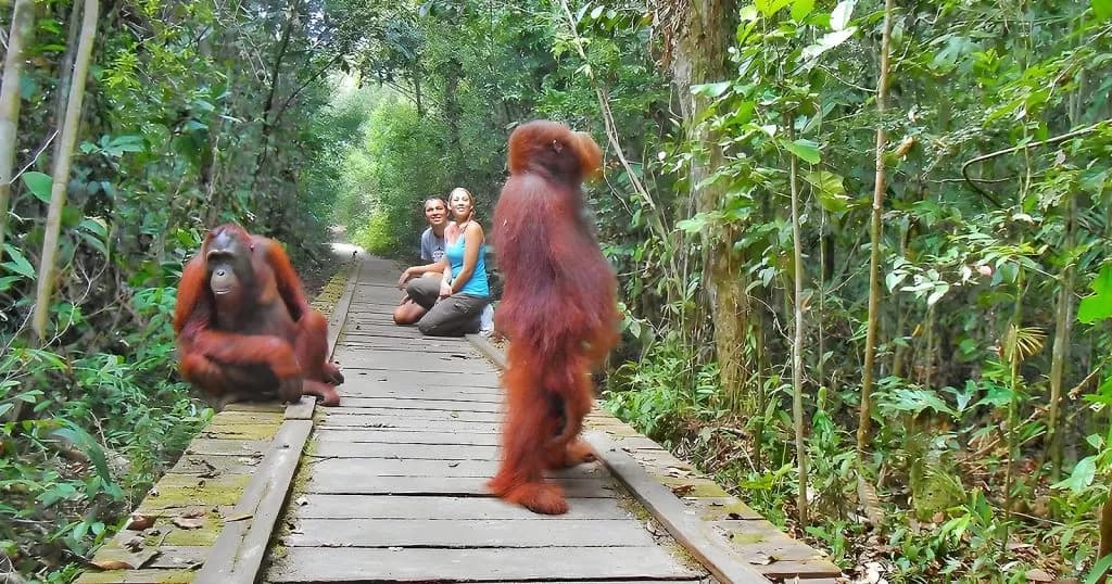 Kalimantan